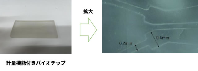 計量機能付きバイオチップ